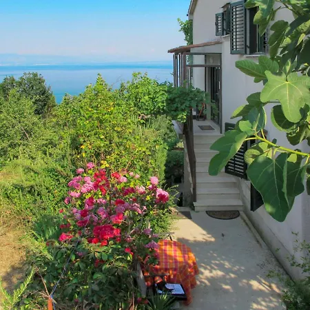 Branka-1 By Interhome * 莫什奇尼策